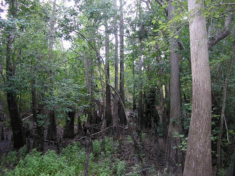 669 +/ ACRES OF LAND